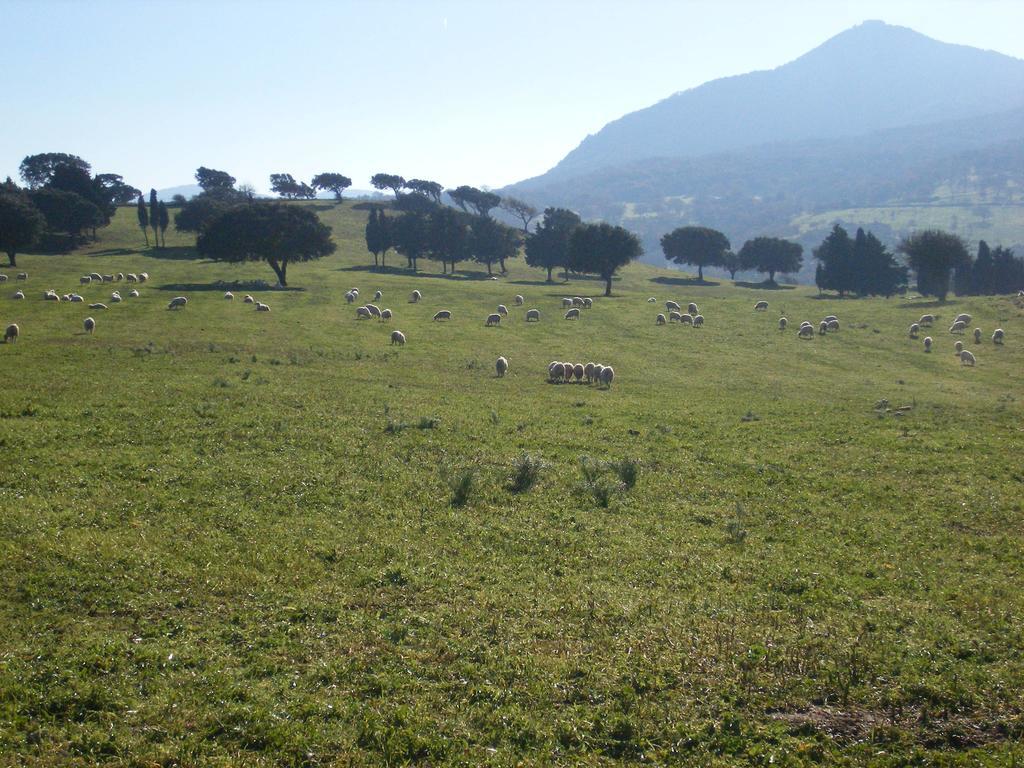 Agriturismo Usurtala Orani المظهر الخارجي الصورة
